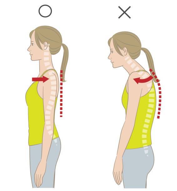 【相模大野】その不調、猫背が原因かも？姿勢矯正で「見た目年齢」と「身体の軽さ」を取り戻す、さがみおおの整骨院の根本改善ガイド